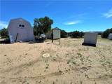 14224 Randy Ranch - Photo 50