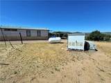14224 Randy Ranch - Photo 51