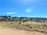 14224 Randy Ranch - Photo 57