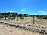 14224 Randy Ranch - Photo 58