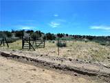 14224 Randy Ranch - Photo 59