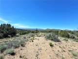 14224 Randy Ranch - Photo 66