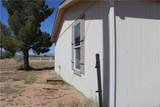 5174 Burro Drive - Photo 5
