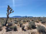 27492 Apple Drive - Photo 8