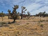 26182 Pear Avenue - Photo 12