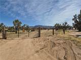26182 Pear Avenue - Photo 3