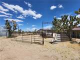26025 Driftwood Drive - Photo 38
