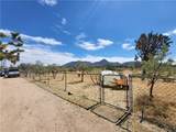26025 Driftwood Drive - Photo 39