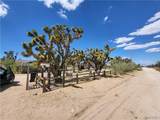 26025 Driftwood Drive - Photo 43