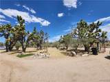 26025 Driftwood Drive - Photo 8
