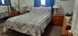 3920 Elfrida - Photo 28