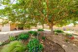 10041 Concho Drive - Photo 46