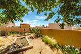 10041 Concho Drive - Photo 48