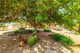 10041 Concho Drive - Photo 49