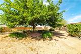 10041 Concho Drive - Photo 50