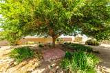 10041 Concho Drive - Photo 51