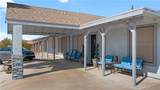 784 Pegasus Ranch Road - Photo 57