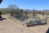 6593 Morelos Drive - Photo 14