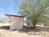 3940 Avra Road - Photo 5