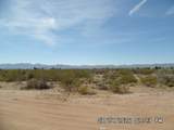 3940 Avra Road - Photo 6