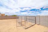 3671 Koval Drive - Photo 48
