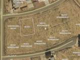 7768 Tall Tree Way - Photo 1