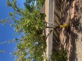 2889 Cimarron Drive - Photo 50