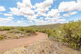 11030 Quarter Horse Road - Photo 74