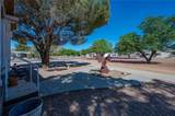 1207 Aralia Drive - Photo 8