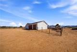 854 Salt Place - Photo 23