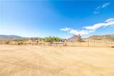 2973 Spinner Bait Drive - Photo 57