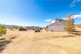 2973 Spinner Bait Drive - Photo 58