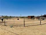 5146 Burro Drive - Photo 25