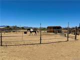 5146 Burro Drive - Photo 26