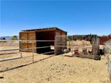 5146 Burro Drive - Photo 27