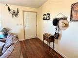5146 Burro Drive - Photo 7