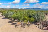 3595 Spotted Fawn Trail - Photo 38
