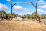 3595 Spotted Fawn Trail - Photo 44