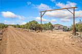 3595 Spotted Fawn Trail - Photo 45