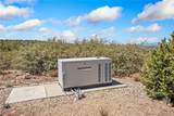 3595 Spotted Fawn Trail - Photo 49