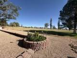 7828 Monte Tesoro Drive - Photo 15