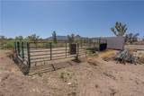 26012 Hummingbird Lane - Photo 3