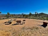 21422 Appaloosa Road - Photo 47