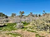21422 Appaloosa Road - Photo 67