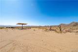 3190 Pepper Tree Road - Photo 47
