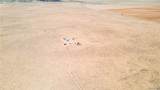 3190 Pepper Tree Road - Photo 63