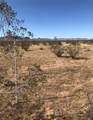 3367 Alamo Road - Photo 3
