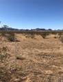 3367 Alamo Road - Photo 5
