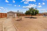 10010 Concho Drive - Photo 36