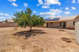 10010 Concho Drive - Photo 40